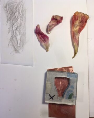 Hatching tulip petals to find outlines